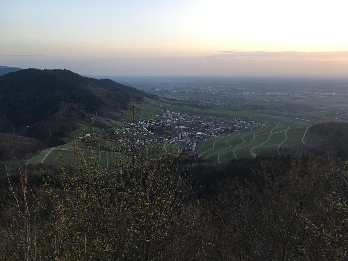 Hotel Roederhof Baden-Baden Kültér fotó